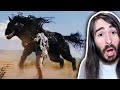 VENOM: THE LAST DANCE TRAILER REACTION | Moist Critical Reacts