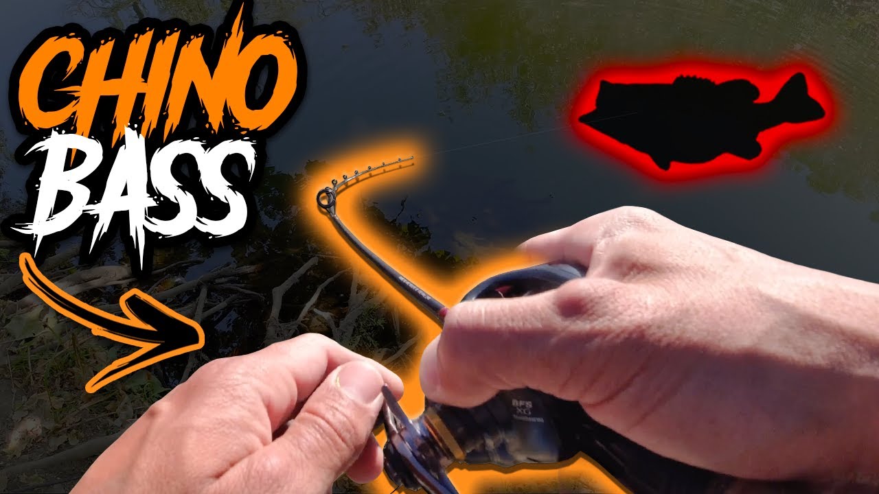 Chino Creek Bass Fishing!