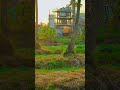 HM PLANT RUNING TIME VIDEO