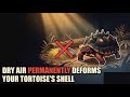 Red-Footed Tortoise Care: Building a Rainforest Climate
