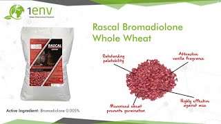 Rascal Bromadiolone Whole Wheat Informational Video