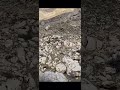 مشاهدة الضبع اللبناني في جرود بلدة الفرزل قضاء زحلة     