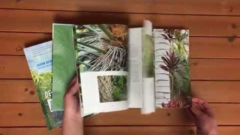 A sneak peek at Designing with Palms
