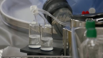 The Flu Vaccine Is Made In Chicken Eggs