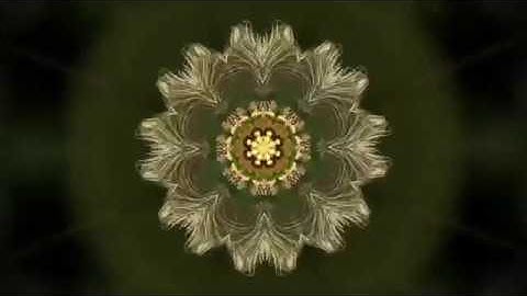 Silicon Slave ft Pann - Tree People (Bootleg Music Video)