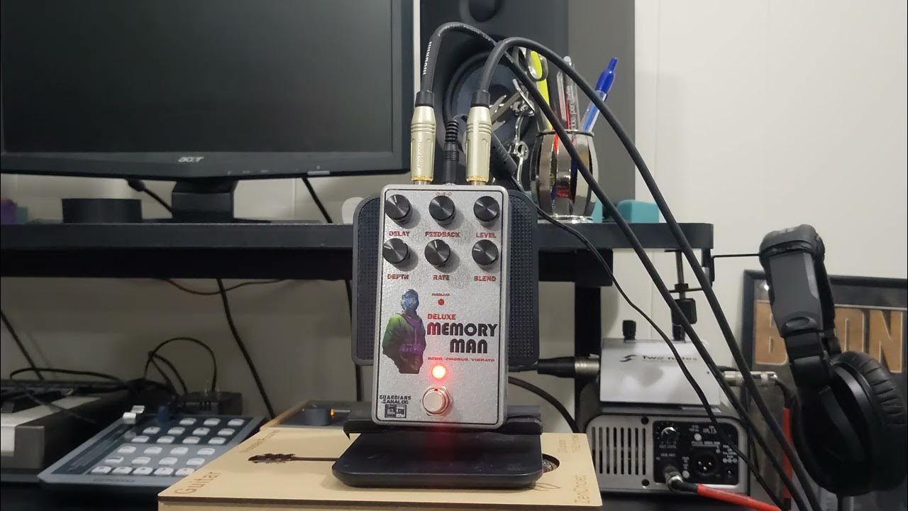 Madbean Pedals Tour Bus PGE EHX Deluxe Memory Man YouTube