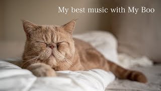 My Best Music With My Boo/エキゾチックショートヘア