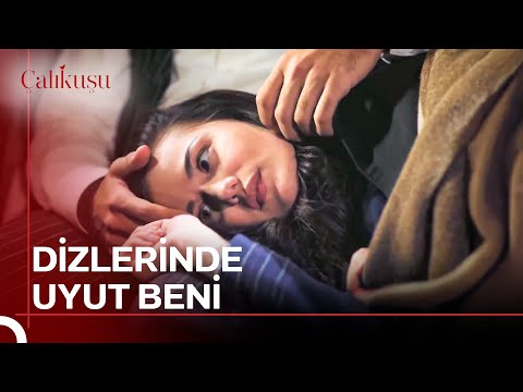 En Huzurlu Uyku Sevdiğinle Uyuduğun Uykudur | Çalıkuşu