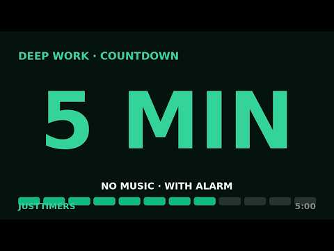5 Minute Timer — Segment Bar (Countdown with Alarm)