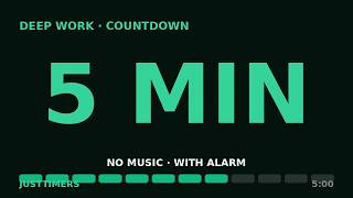 5 Minute Timer — Segment Bar (Countdown with Alarm)