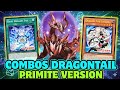 COMBOS PRIMITE DRAGONTAIL ❗Best Version Ever???
