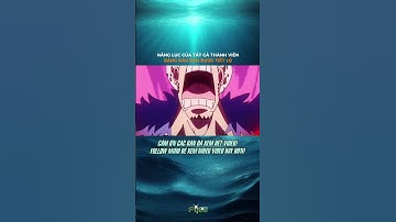 P3 NĂNG LỰC CỦA TẤT CẢ THÀNH VIÊN BĂNG RÂU ĐEN ĐƯỢC RÂU ĐEN TIẾT LỘ