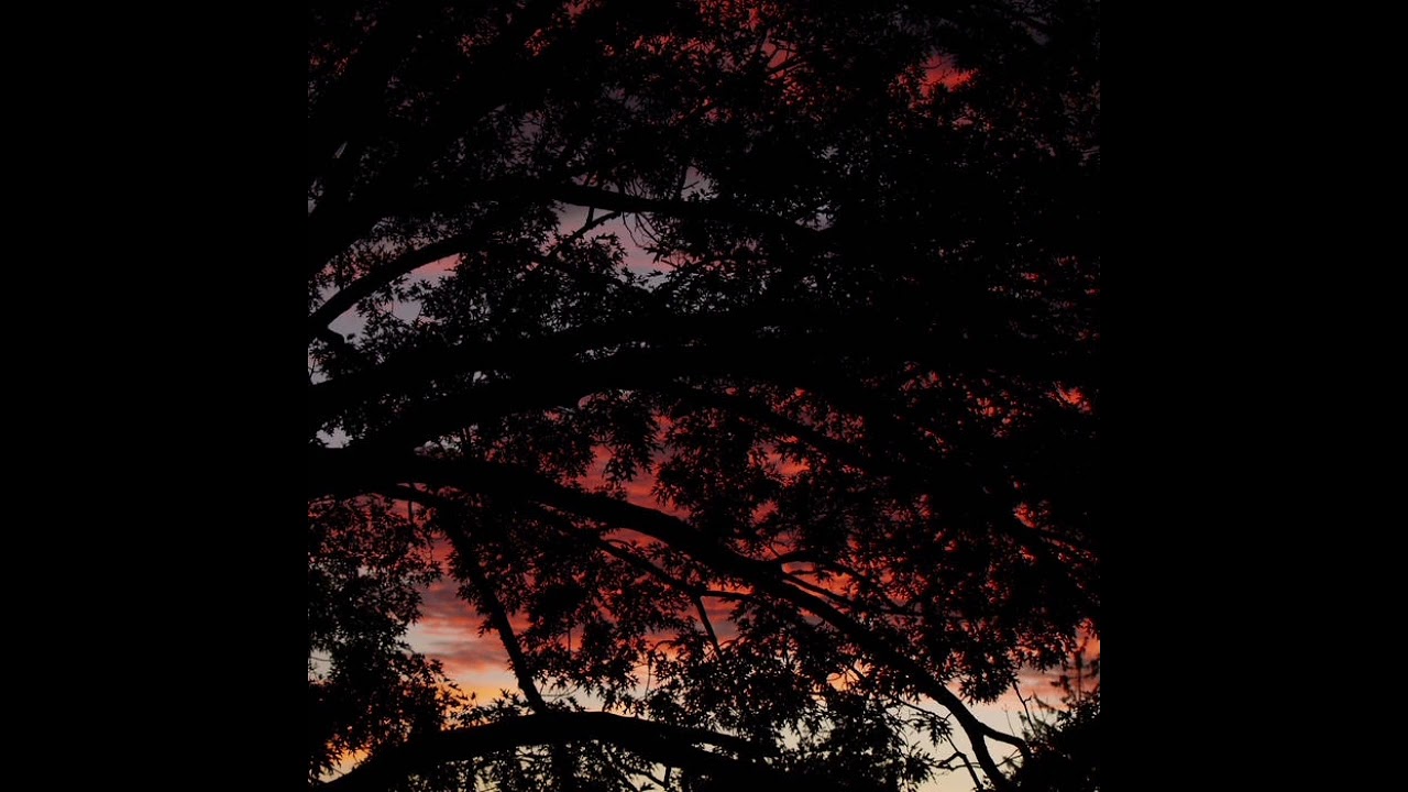 Lil Kevo 303 - if夢you夢work夢hard夢and夢dont夢give夢up夢you夢can夢accomplish夢anything