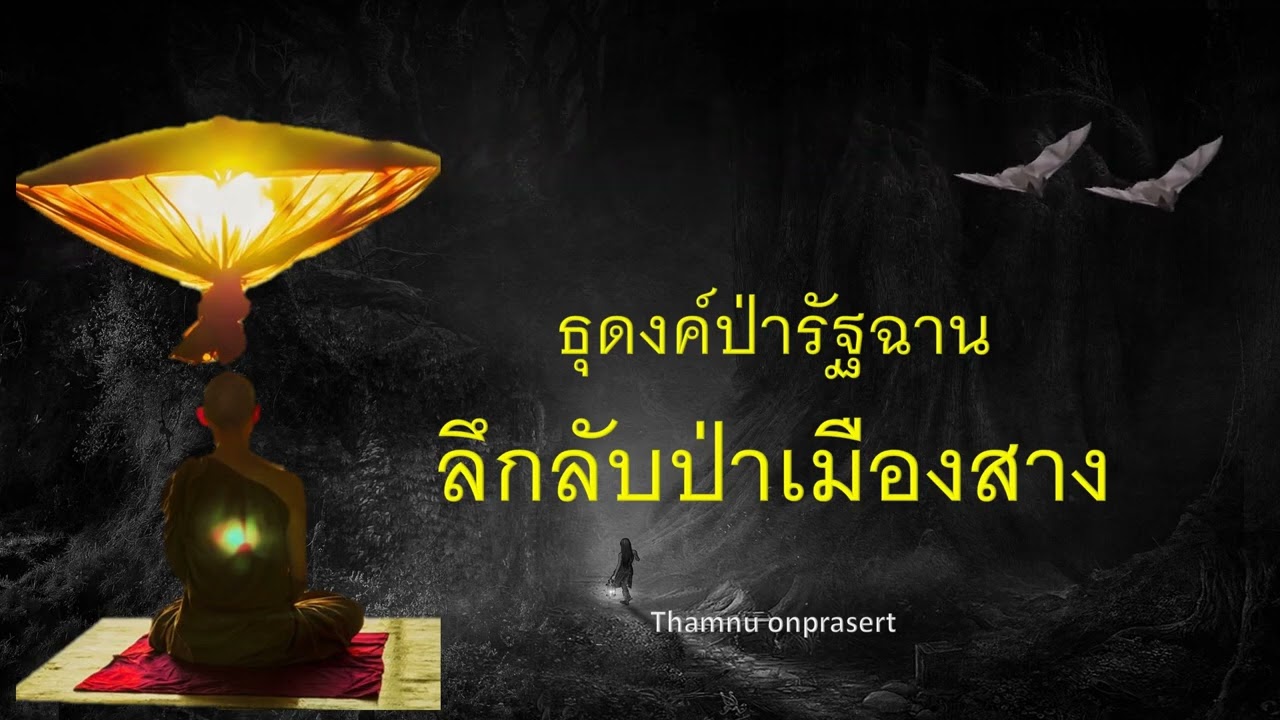 ๒๖๒.ลึกลับป่าเมืองสาง ธุดงค์ป่ารัฐฉาน