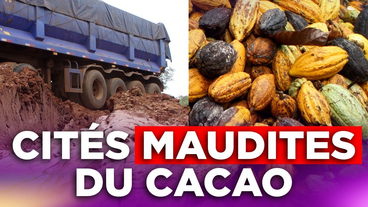 NCI Reportages | Les cités maudites du cacao