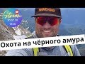 Стрим Петра Миненко - Охота на чёрного Амура