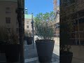 expansion at Ryerson aka TMU
