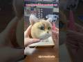 Do you want to know how I used wool to create this cute cat? Short videos teach you. #custom #diy