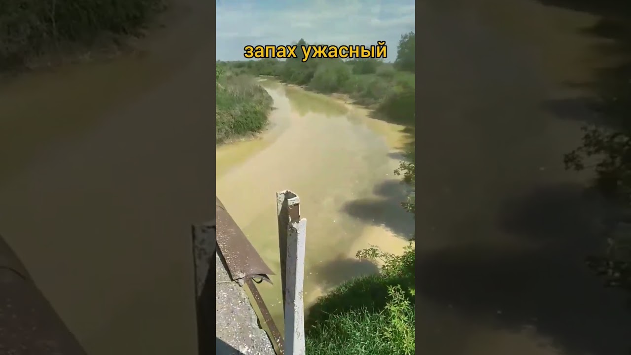 УЖАС!🤢Река Толыч Березники