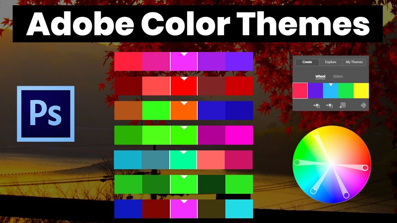 Color theme  Adobe Color