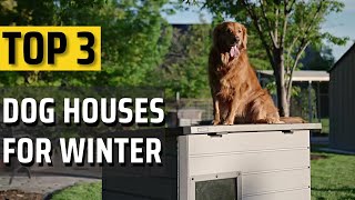 Best Dog House For Winter ✅Top 3 picked✅