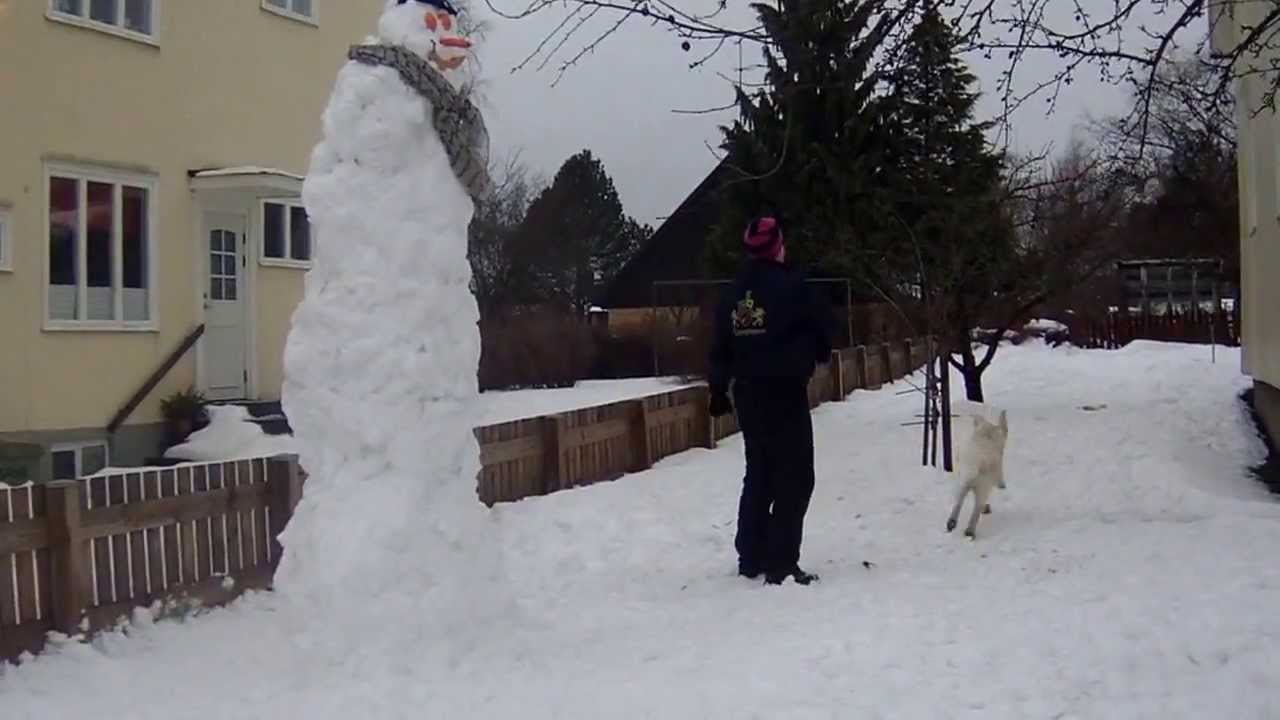 Sveriges Största Snögubbe i Haga Arvika