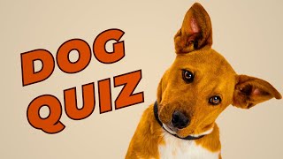 Ultimate Dog Quiz - 15 Tricky Questions to Test Your Canine Knowledge! screenshot 5