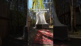 Dzikolas Glamping – Hutki | jurty z balią, Leśne SPA, Roztocze