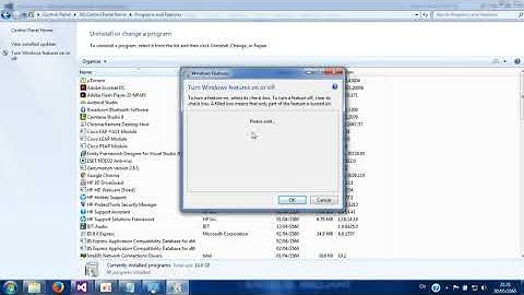 ASP.NET Crystal Report HTTP Error 500 19 Internal Server Error Code 