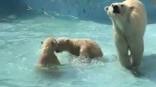 浅瀬でバシャバシャ(5月5日)