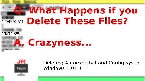 Deleting Core Windows Files (config.sys and autoexec.bat) in Windows 1.0