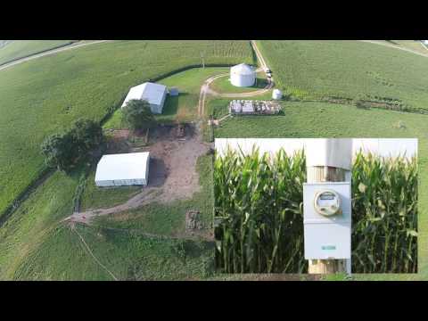 Land For Sale 160 Acres in Edgar County Illinois