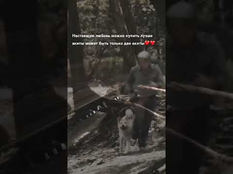 Настоящую любовь можно….
