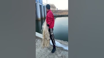 fishing videos catching big fish #fishing #fish #net #catch