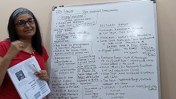 8 ICSE   Geography   Asia Location and Physiography   Video 2 Preeti Menon HOD HCG   Elite Tutorials