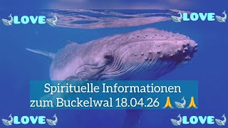 Spirituelle Information zum Buckelwal 18. April 2026