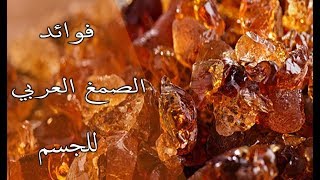 فوائد الصمغ العربي واستخراجه