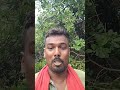 ନିଜ ରାସ୍ତା ନିଜେ ବଛା #trendingrils #odiarils #rameshvlog 