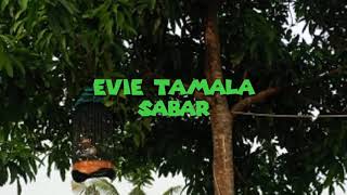 Evie tamala SABAR