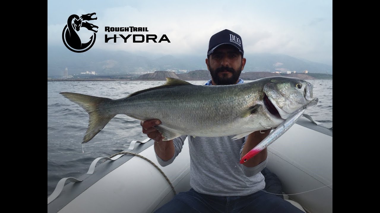 Rough Trail Hydra: Second Contant