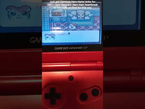 Hamtaro Gameboy Game
