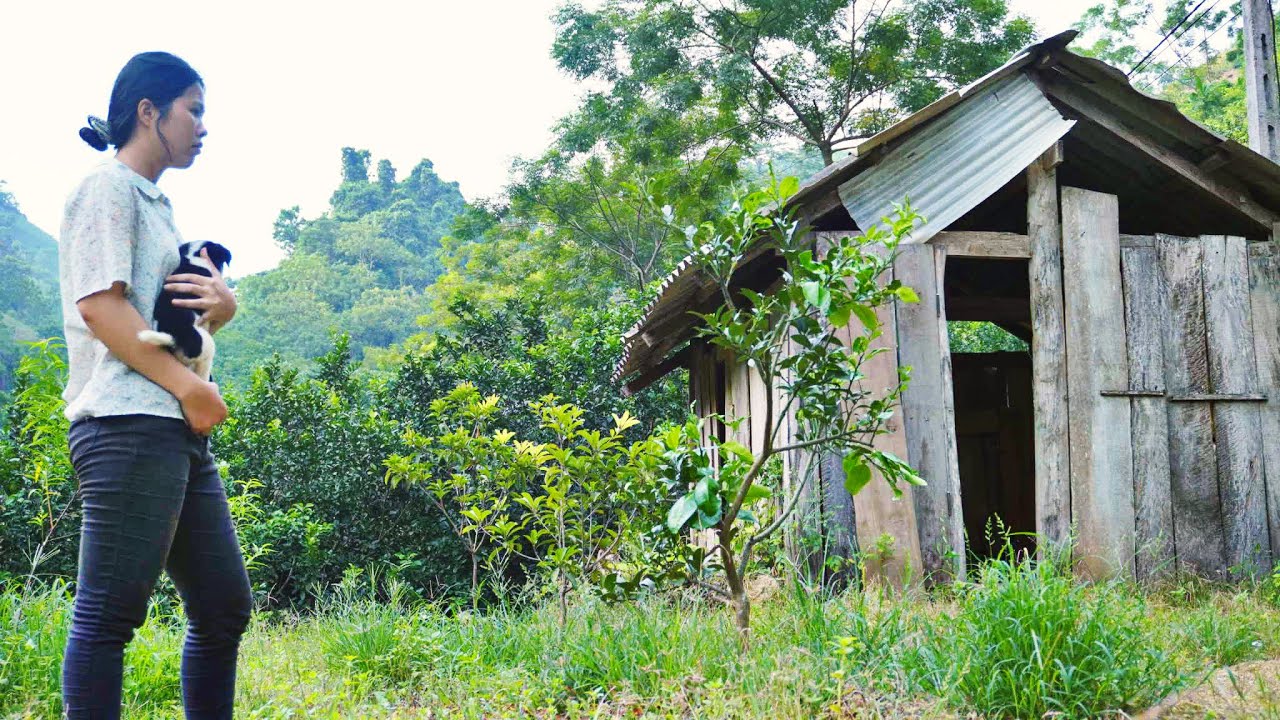 Секретарша уехала из города, чтобы вернуться в родной город, чтобы отремонтировать заброшенный дом.