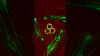 Fractal Holidays – Cosmic Countdown 2026