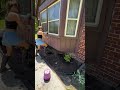 We are sooo close to being done I am so relieved I finally have these hydrangeas in the dirt. Loving