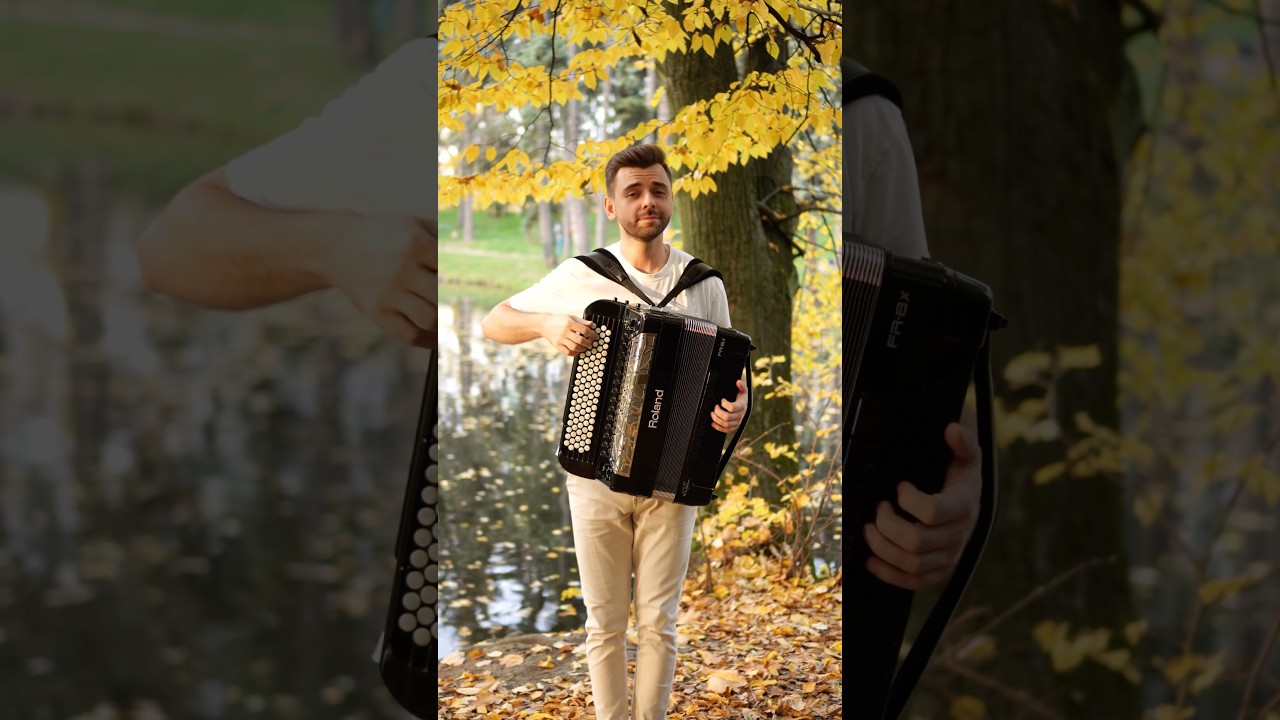 Et si tu n'existais pas - Accordion 🥰 by Joe Dassin 