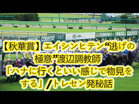 エイシンヒテン“逃げの極意”渡辺調教師「ハナに行くといい感じで物見をする」/トレセン発秘話/エイシンヒテン“逃げの極意”渡辺調教師「ハナに行くといい感じで物見をする」/トレセン発秘話