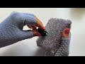 Squeezing and scratching a crunchy sponge