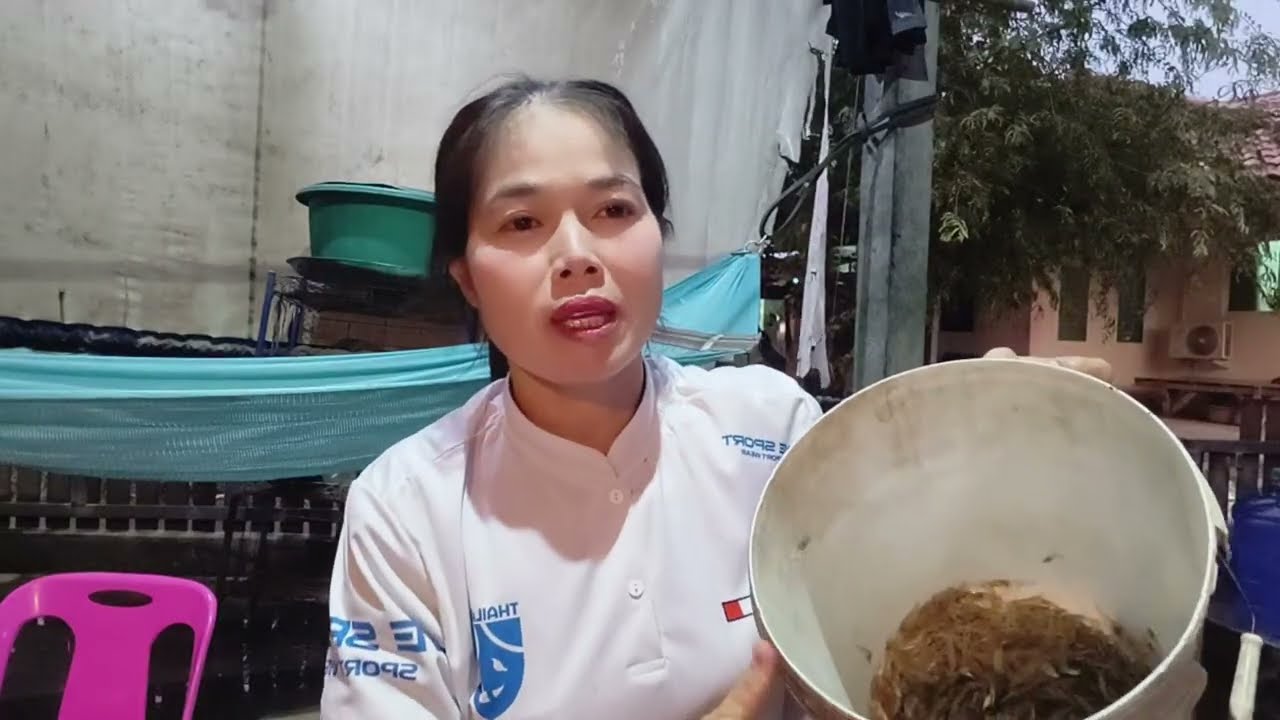 ลูกชายใส่ตุ้มรอบนี้หมานคักจ้าฝนกะตกดีคัก27 กุมภาพันธ์ ค.ศ. 2026