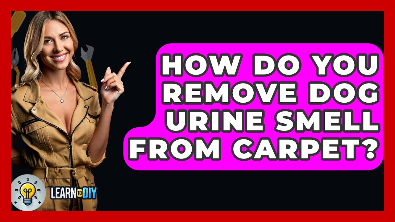How Do You Remove Dog Urine Smell From Carpet? - LearnToDIY360.com