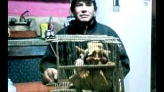 X Nota A Ariel Fernandez Duende De San Juan